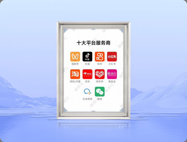 十大平台服务商